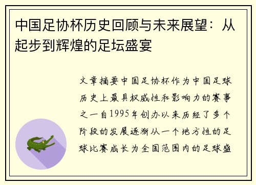 中国足协杯历史回顾与未来展望：从起步到辉煌的足坛盛宴