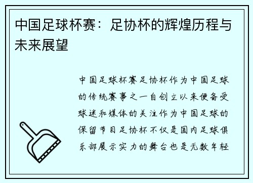 中国足球杯赛：足协杯的辉煌历程与未来展望