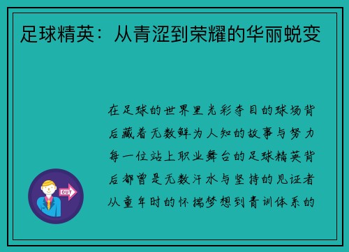 足球精英：从青涩到荣耀的华丽蜕变